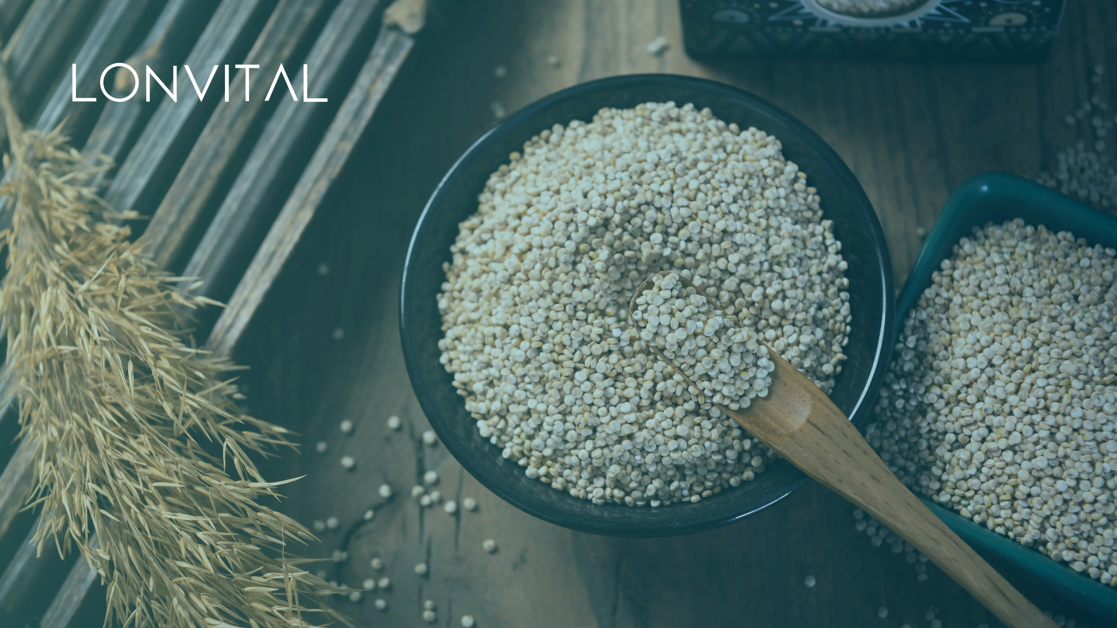 alimento ricos en proteinas