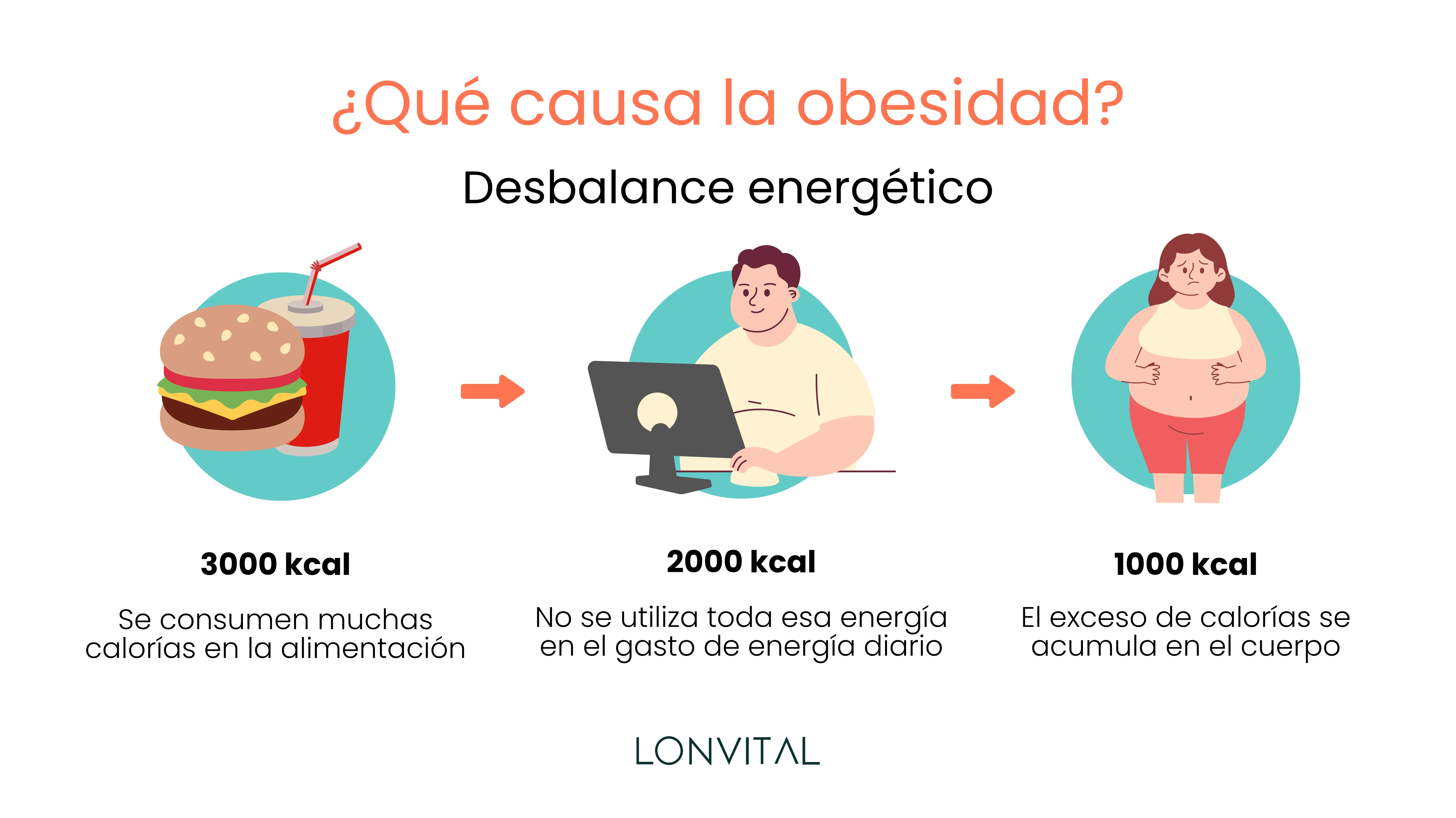 Causas de la obesidad
